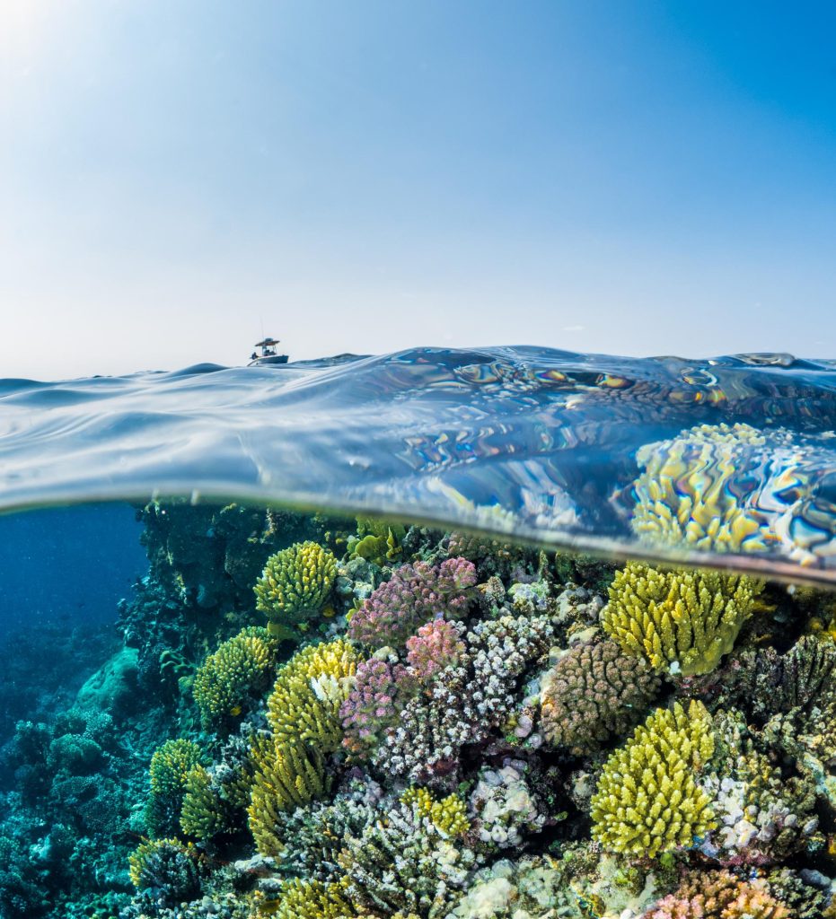 Annual Sustainability Report
